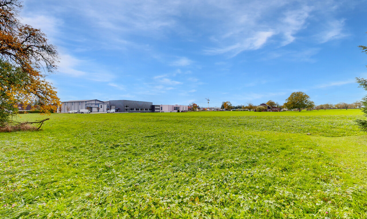 jardin avec day time, pelouse, et property visible