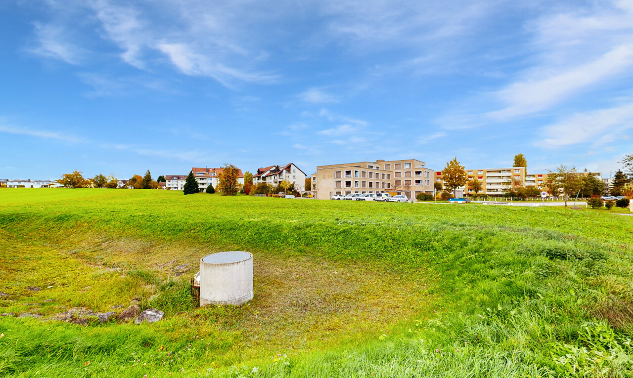 jardin avec day time