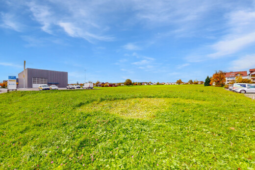 garten mit day time und rasen