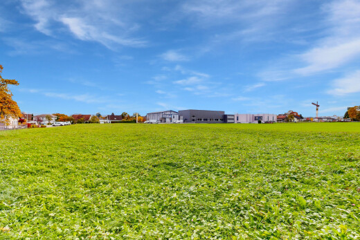 garten mit day time und rasen