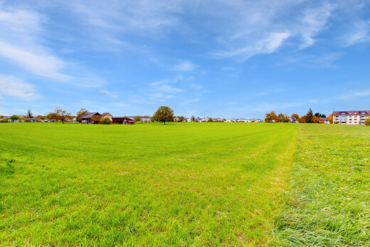 garten mit day time und rasen