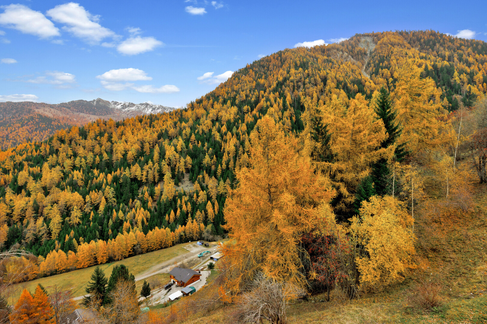 blick auf die berge mit day time, blick auf die berge, mountain view, waldblick, und forest view
