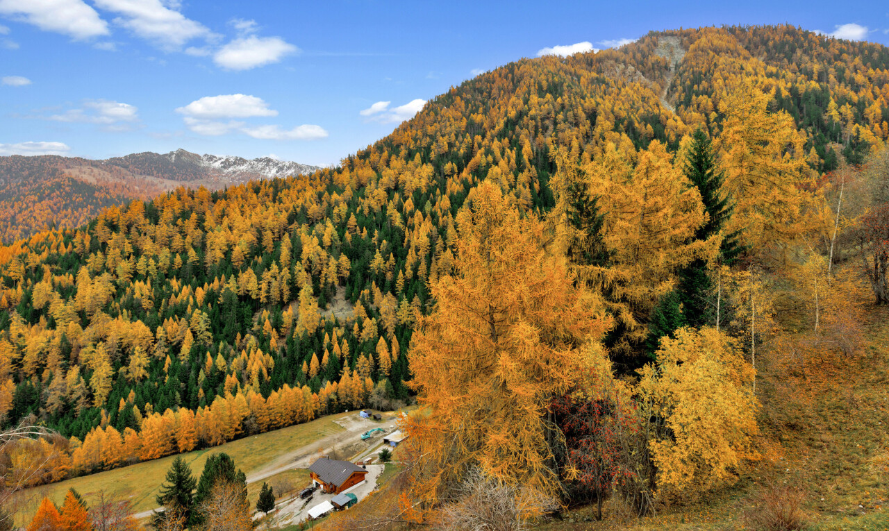 blick auf die berge mit day time, blick auf die berge, mountain view, waldblick, und forest view