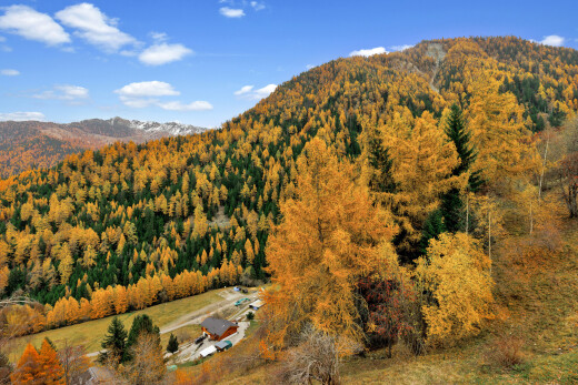 blick auf die berge mit day time, blick auf die berge, mountain view, waldblick, und forest view