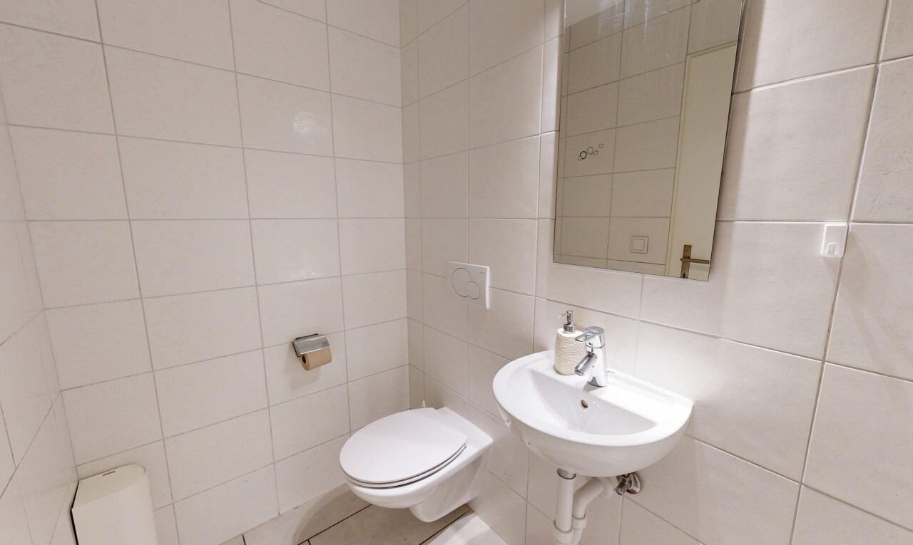 salle de bains avec toilette, mur en carrelage, tile wall, miroir, et évier