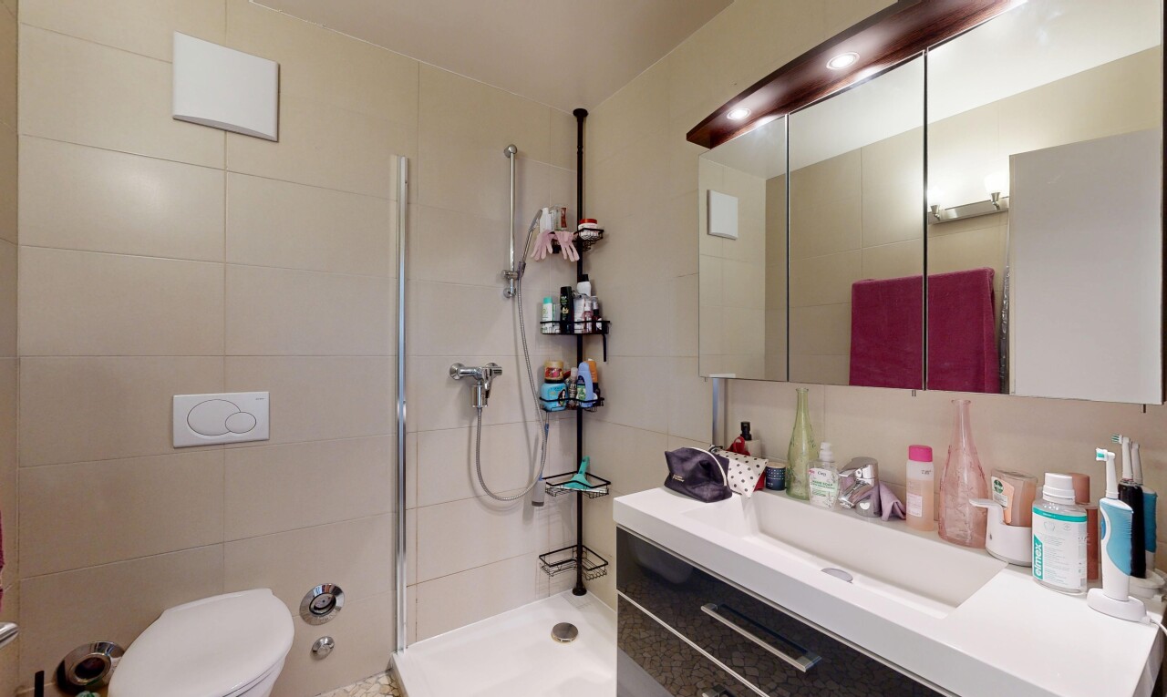 salle de bains avec salle de bain complète, lavabo (ou coiffeuse selon le contexte), douche, inside property, et miroir