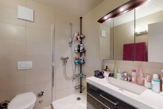 salle de bains avec salle de bain complète, lavabo (ou coiffeuse selon le contexte), douche, inside property, et miroir