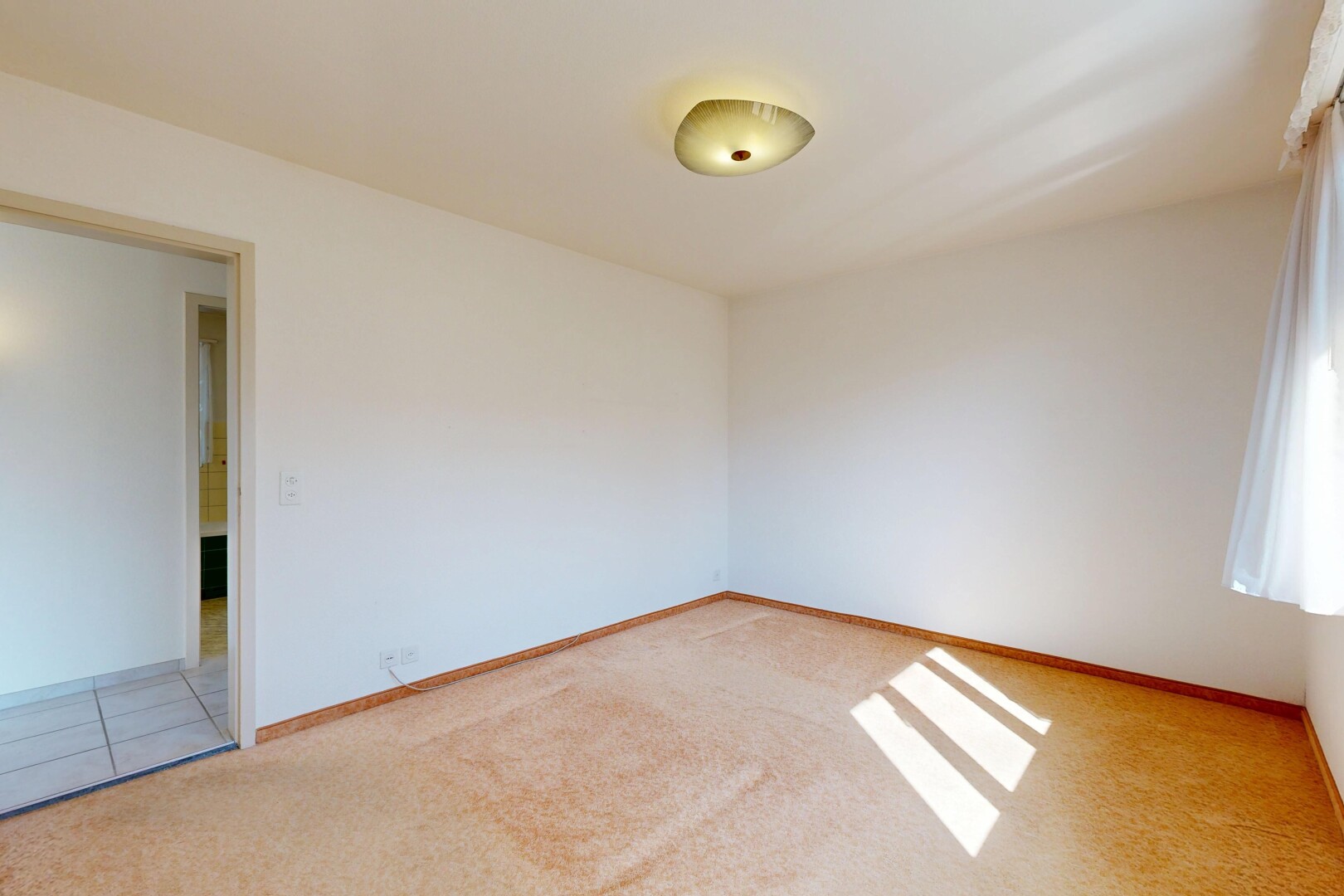 pièce vide avec moquette, carpet, cloison sèche, drywall, et light floor