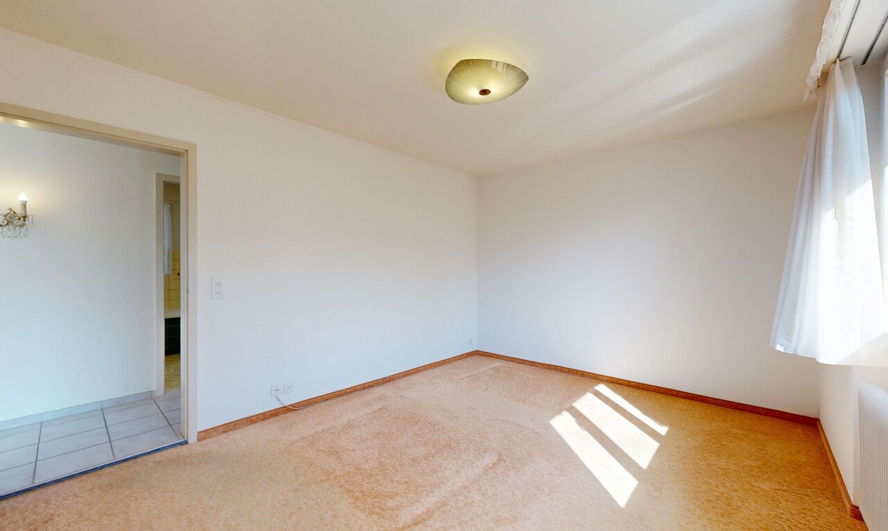 pièce vide avec moquette, carpet, cloison sèche, drywall, et light floor