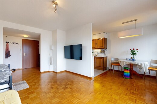 salon avec télévision, inside property, drywall, cloison sèche, et parquet floor