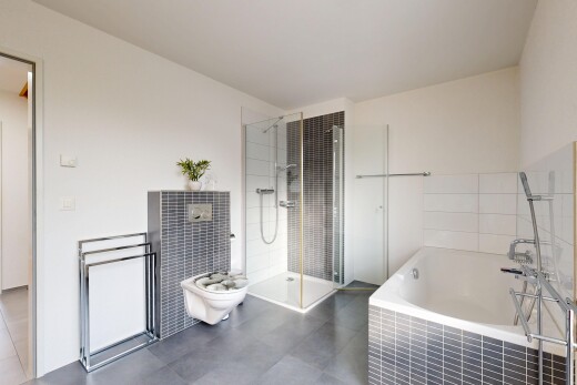 bad mit komplettes badezimmer, dusche, bad, drywall, und gipskartonwand