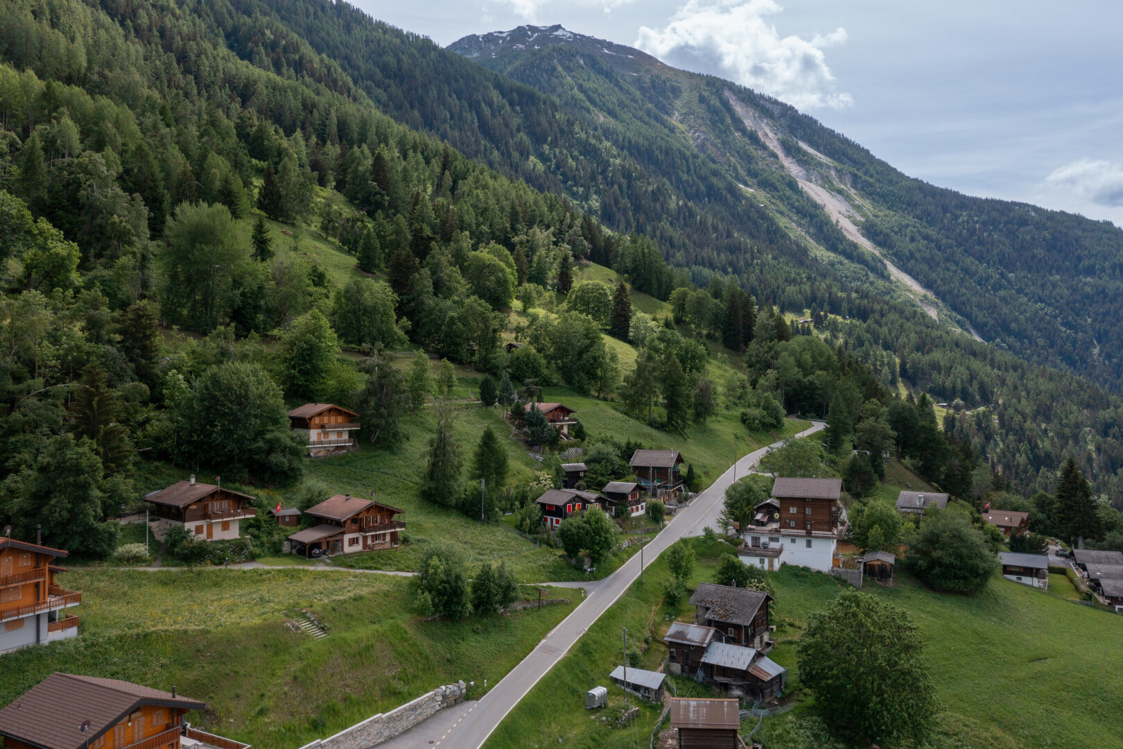 view of mountain background featuring a forest