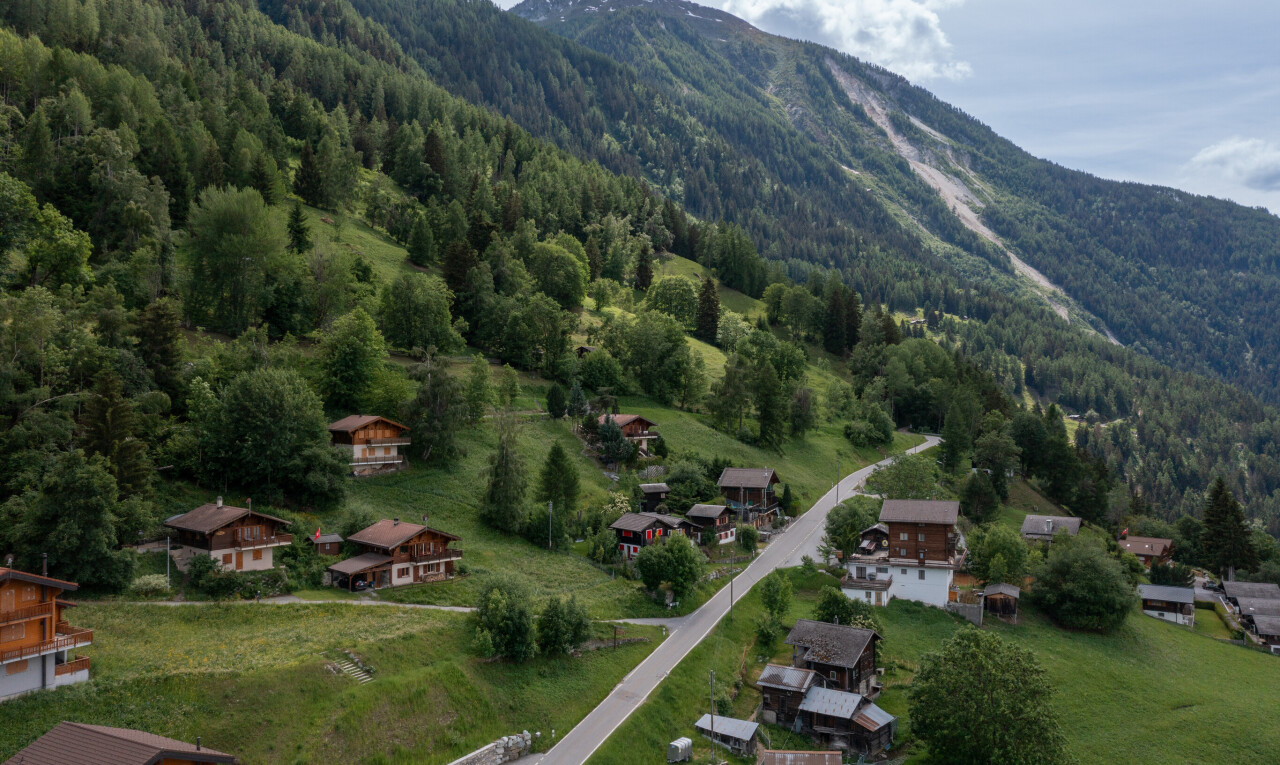 view of mountain background featuring a forest