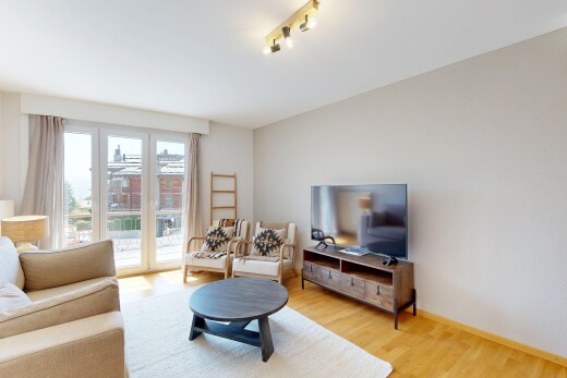 wohnzimmer mit natürliches licht, natural light, holzfußboden, wood finish floor, und fernseher