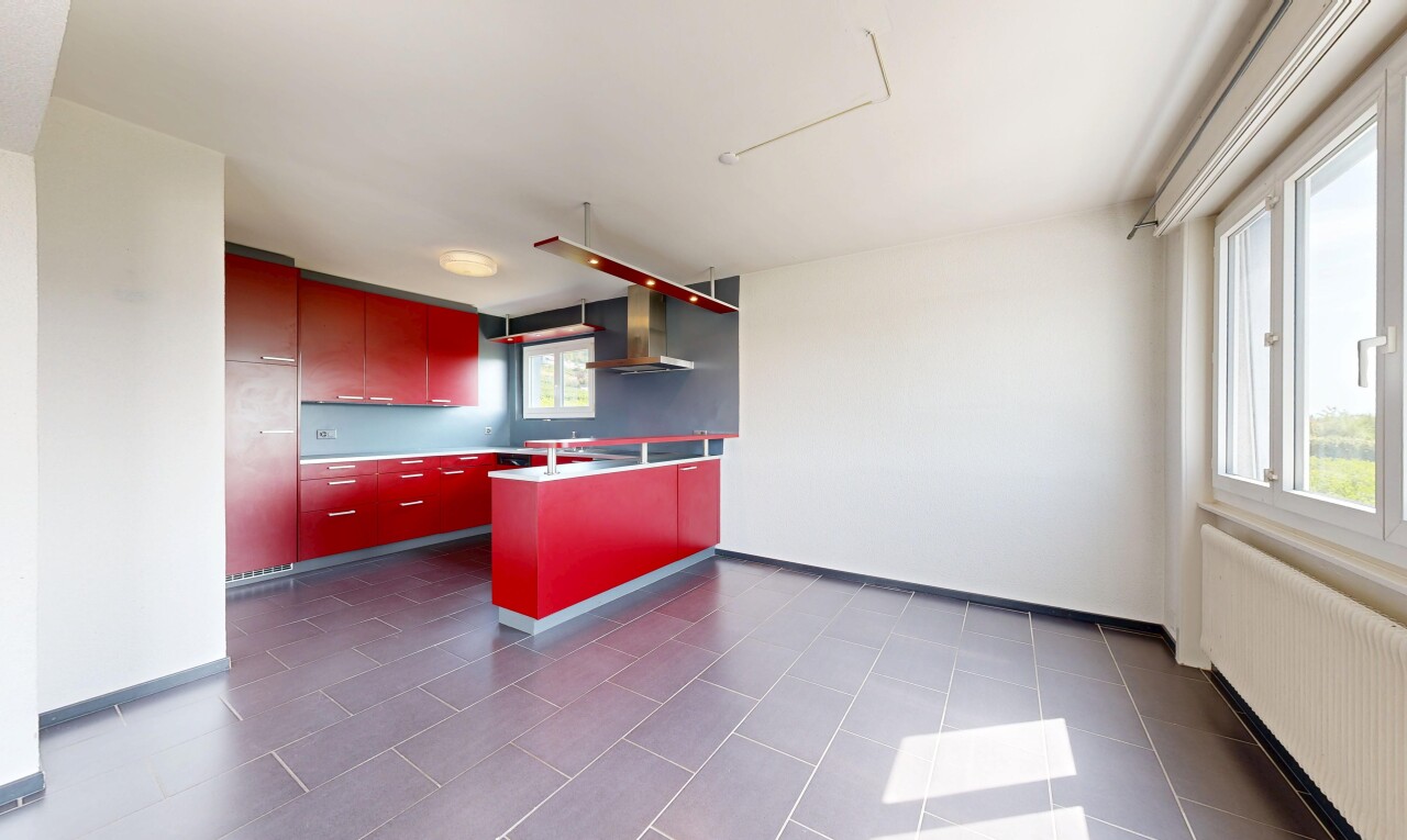cuisine avec radiateur, dark floor, hotte, lumière naturelle, et armoires à panneau plat