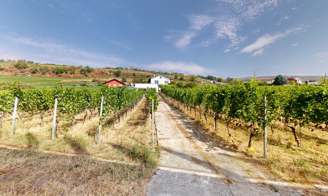 jardin avec orchard / agricultural view, vue sur le verger/agriculture, rural view, vue rurale, et day time