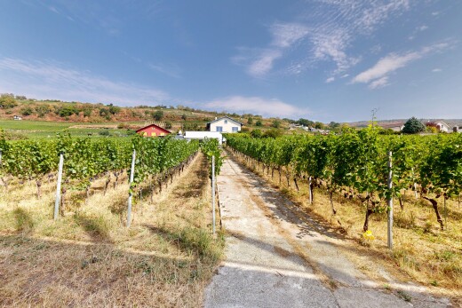 jardin avec orchard / agricultural view, vue sur le verger/agriculture, rural view, vue rurale, et day time