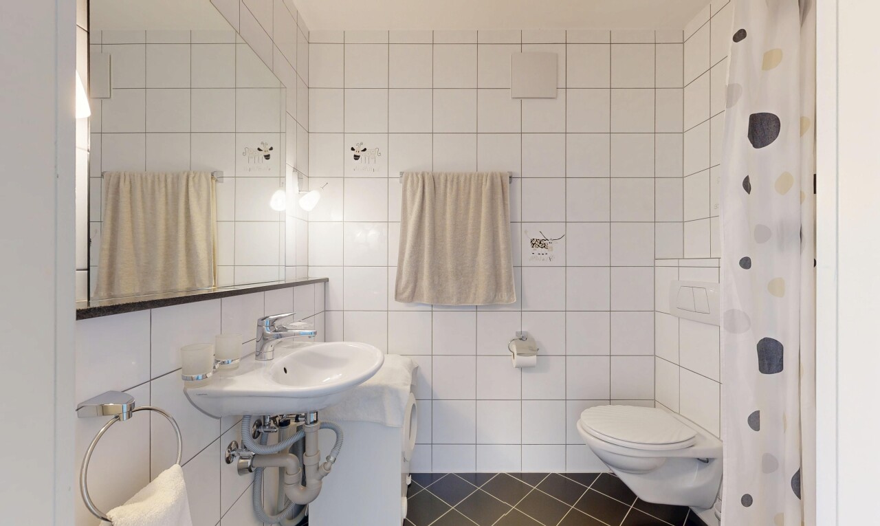 salle de bains avec toilette, salle de bain complète, miroir, sol en carrelage, et tile floor
