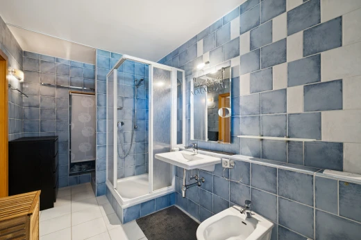 salle de bains avec tile wall, mur en carrelage, douche, salle de bain complète, et bidet
