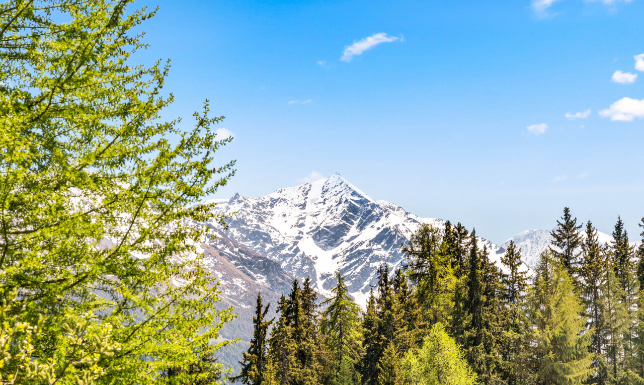 vue sur la montagne avec mountain view, vue sur la montagne, et day time