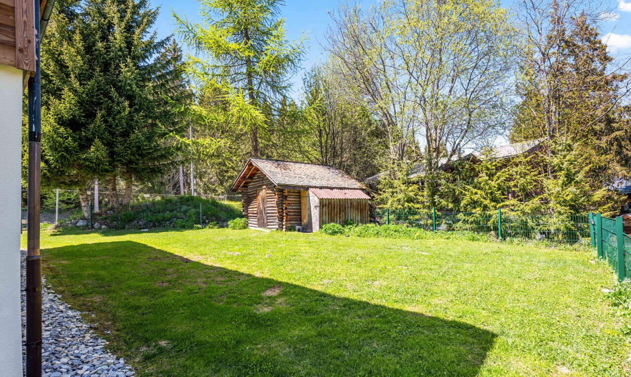 garden with a storage shed