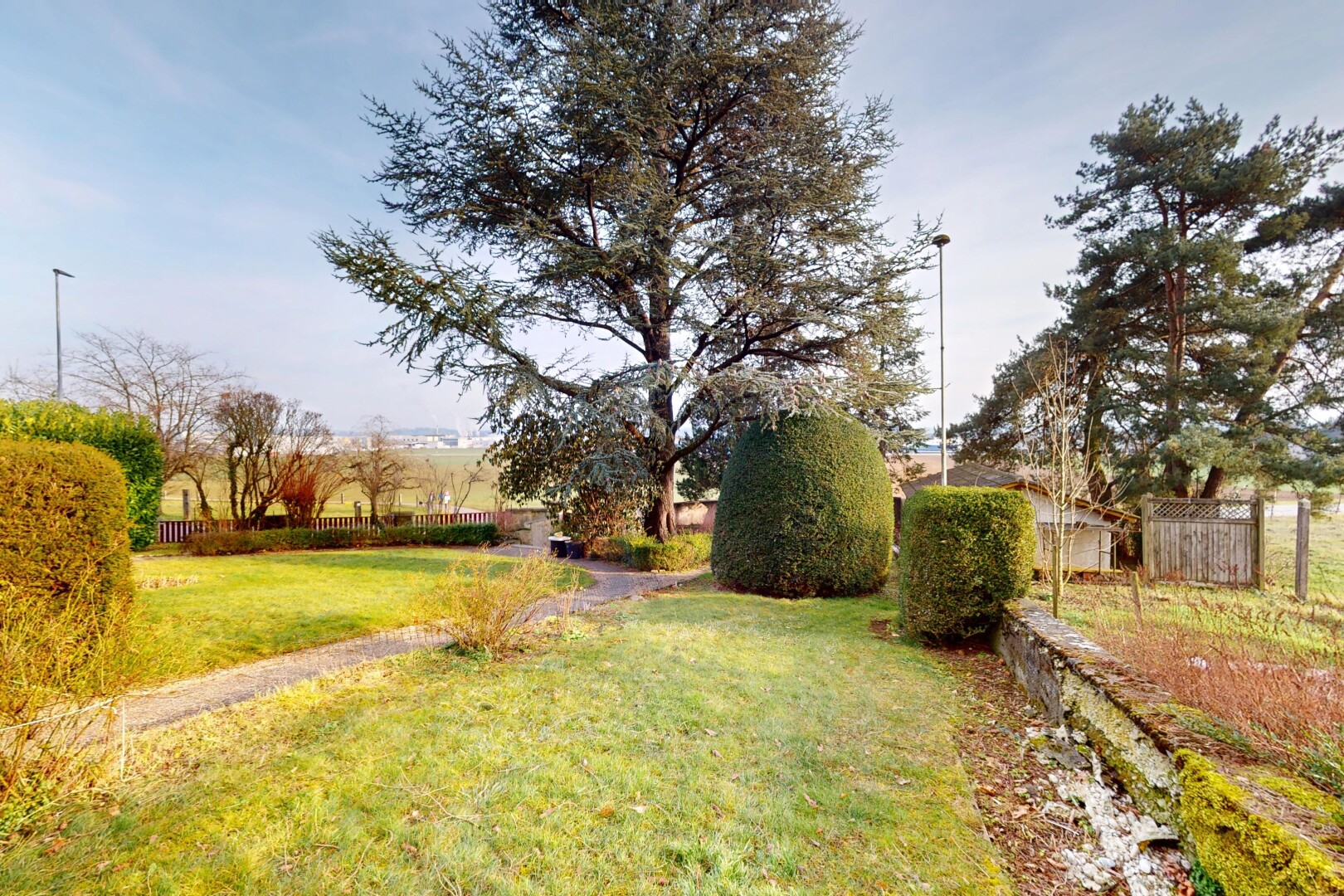 jardin avec clôture et pelouse
