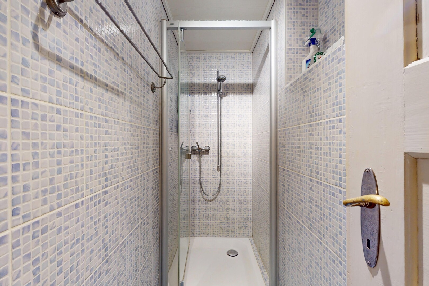 salle de bains avec douche