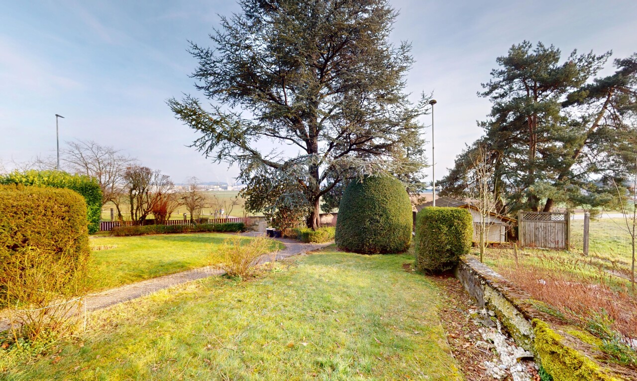 jardin avec clôture et pelouse