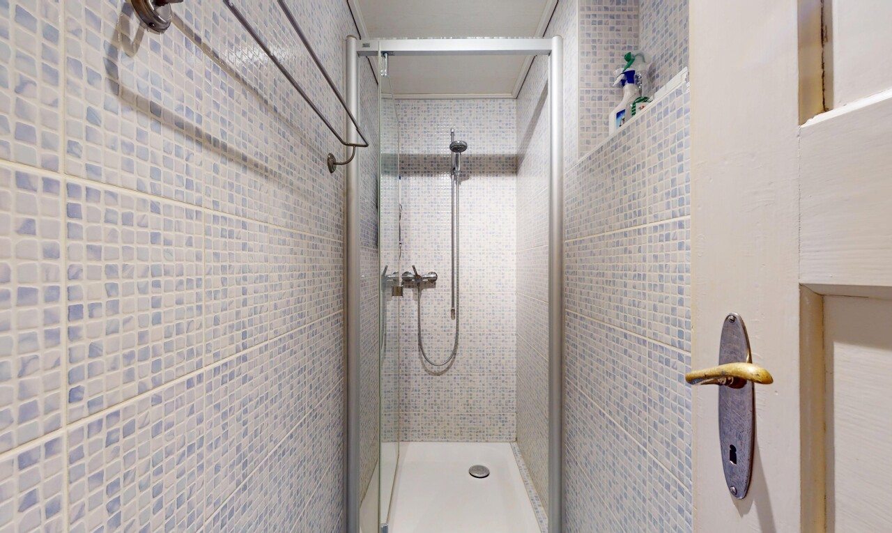 salle de bains avec douche