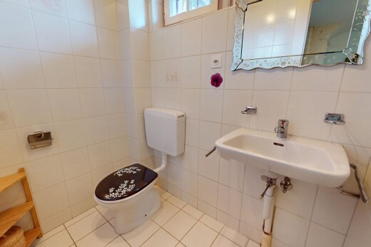 salle de bains avec toilettes, miroir, lumière naturelle, carrelage, et mur carrelé