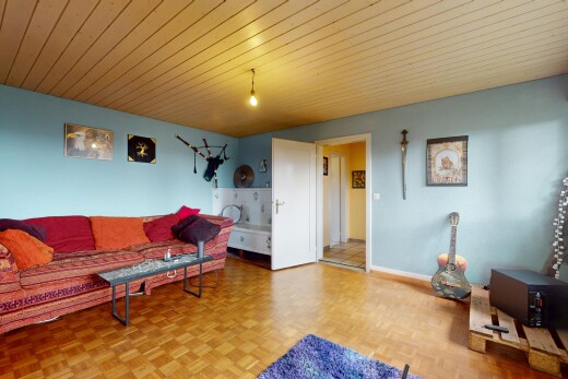 salon avec parquet