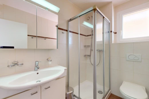 salle de bain avec miroir, mur carrelé, lumière naturelle, meuble-lavabo, et douche