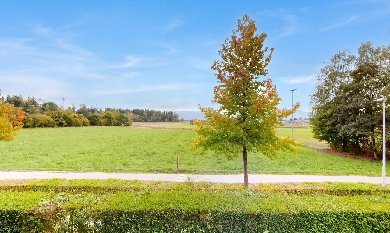 garden with a view of rural / pastoral area and a yard