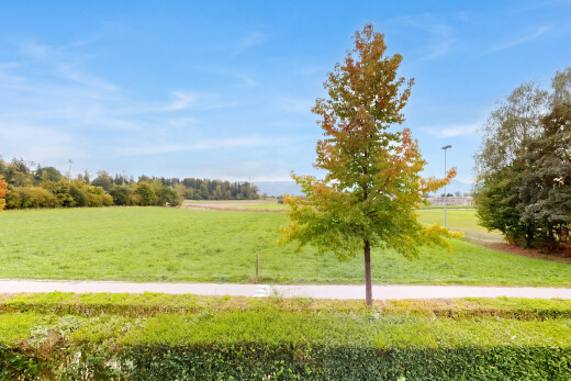 garten mit rural view, ländliche aussicht, day time, und rasen