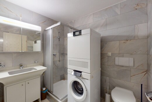 bad mit toilette, dusche, fliesenwand, und waschturm
