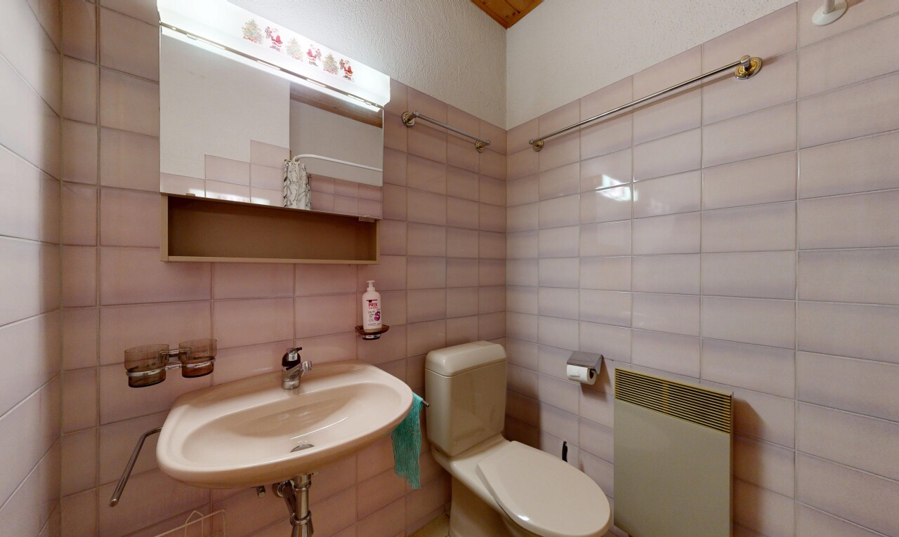 salle de bains avec toilette, miroir, inside property, évier, et douche
