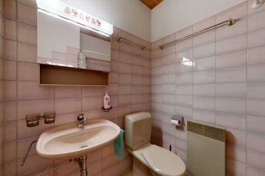 salle de bains avec toilette, miroir, inside property, évier, et douche
