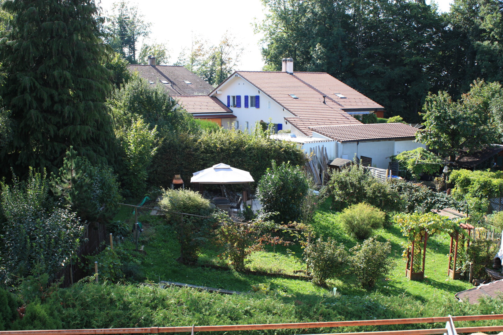 jardin avec overcast et pelouse