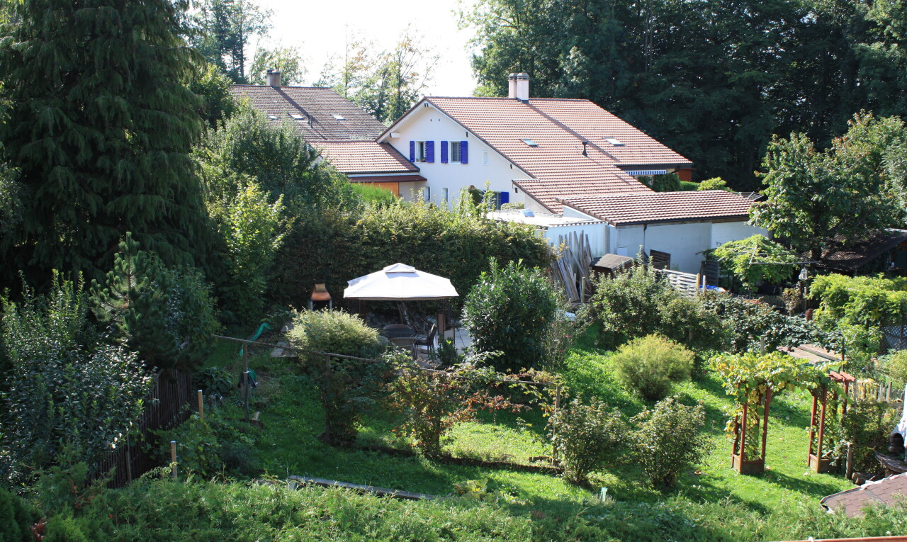 jardin avec overcast et pelouse