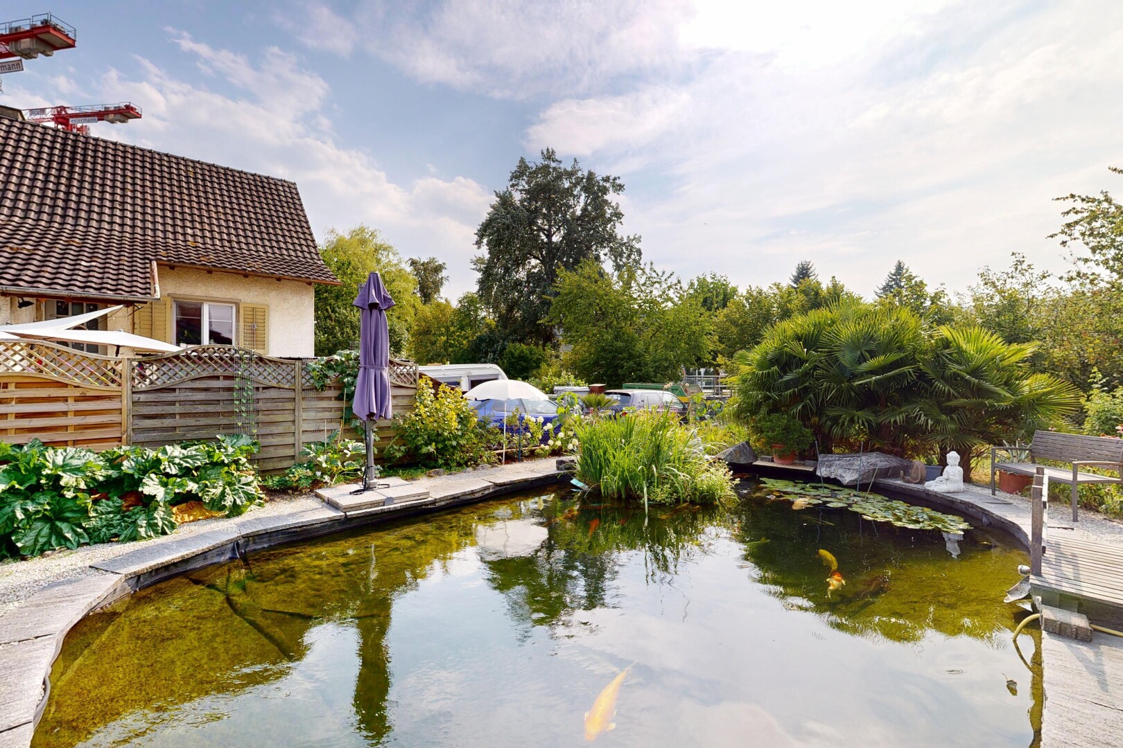 seesicht mit day time, garden pond, garten teich, und zaun