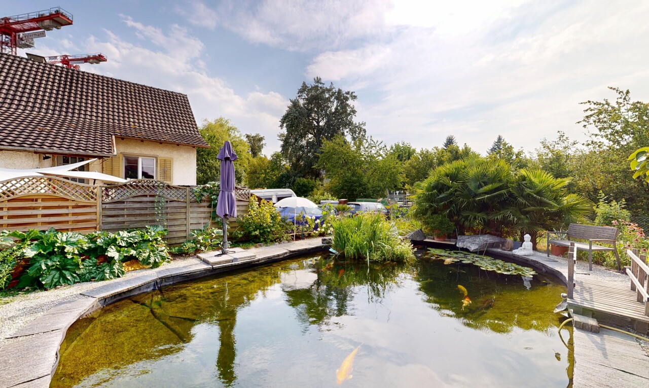 seesicht mit day time, garden pond, garten teich, und zaun