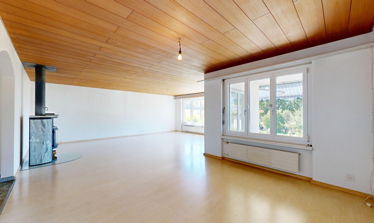 leerer raum mit holzdecke, wood ceiling, kühler, gipskartonwand, und drywall