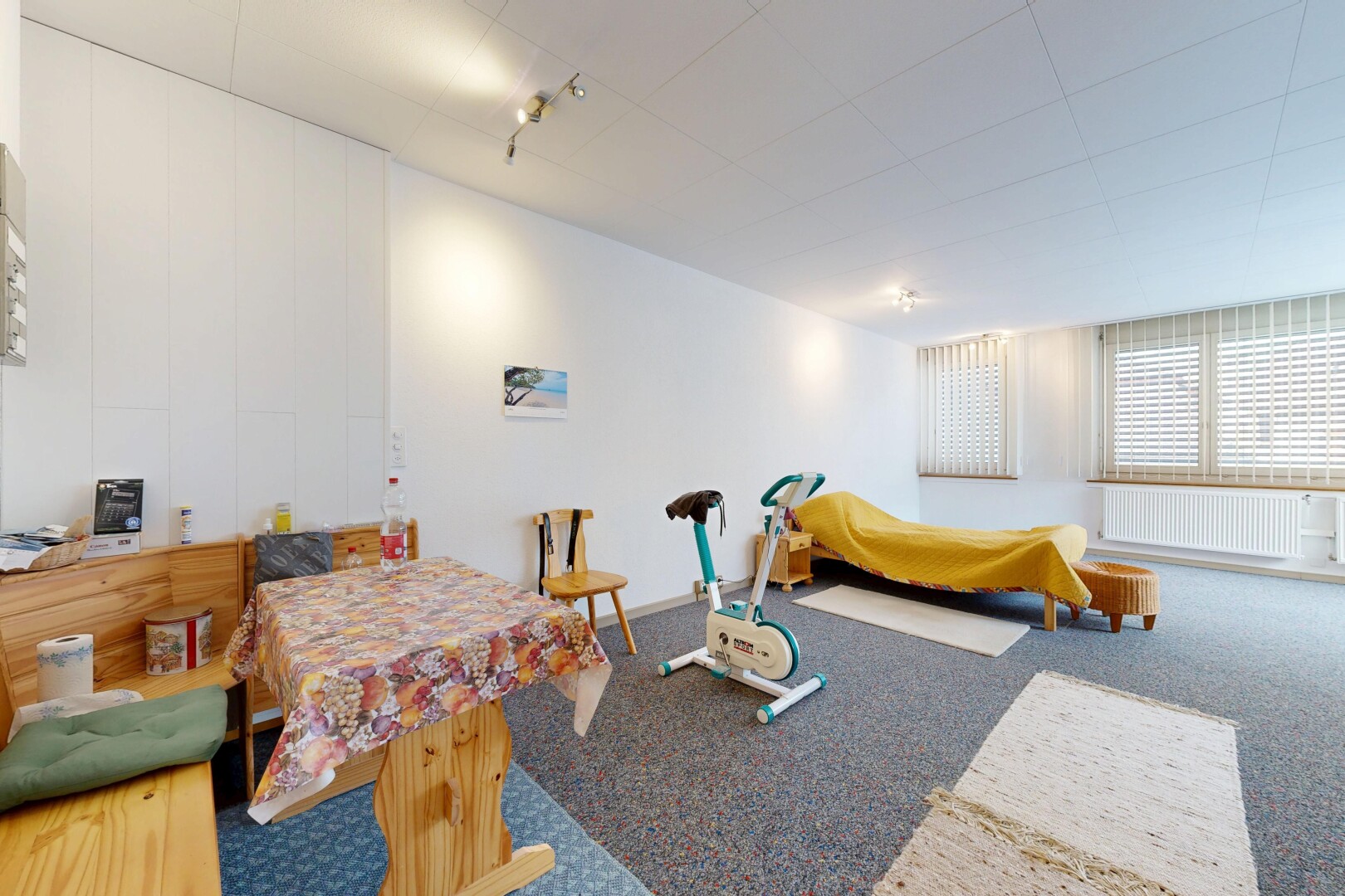 salon / salle à manger avec moquette, carpet, inside property, radiateur, et cloison sèche