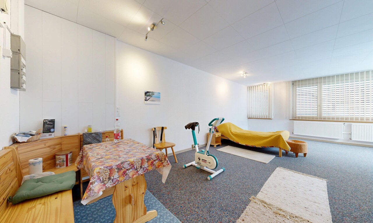 salon / salle à manger avec moquette, carpet, inside property, radiateur, et cloison sèche