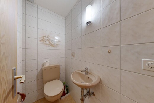 bad mit toilette, tile wall, fliesenwand, gäste-wc, und inside property