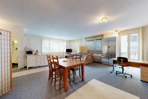 esszimmer mit teppich, carpet, inside property, natürliches licht, und natural light