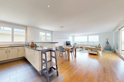 küche mit dark countertops, kitchen peninsula, küchentheke, opens to living area, und öffnet sich zum wohnraum