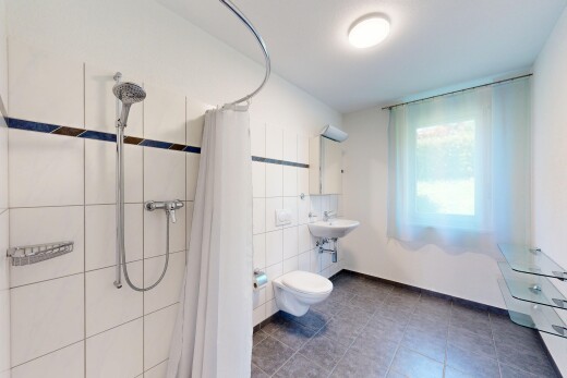 salle de bains avec lumière naturelle, natural light, douche, salle de bain complète, et inside property