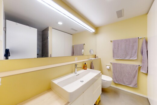 bad mit spiegel, inside property, schminktisch, waschbecken, und toilette