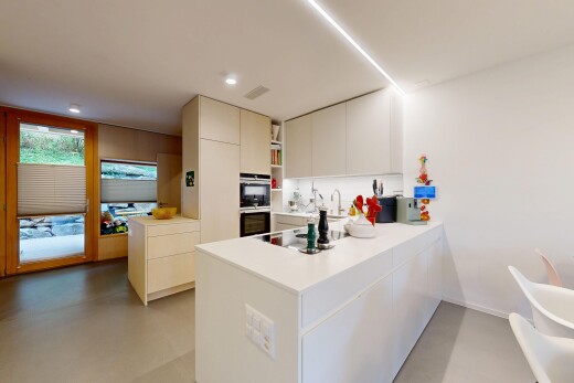 küche mit natural light, natürliches licht, schränke mit flachen paneelen, arbeitsplatten, und küchentheke